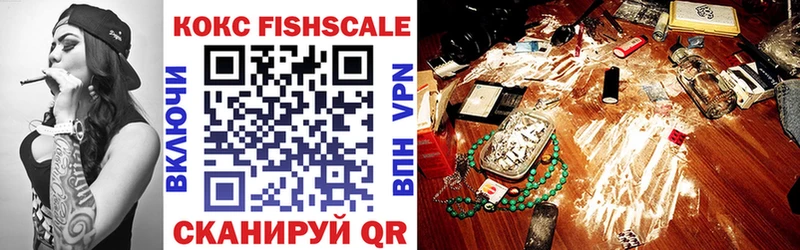 COCAIN FishScale  купить наркотики цена  Приморск 
