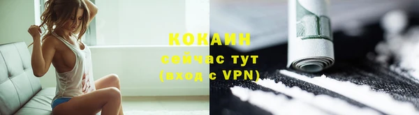 тгк Арсеньев