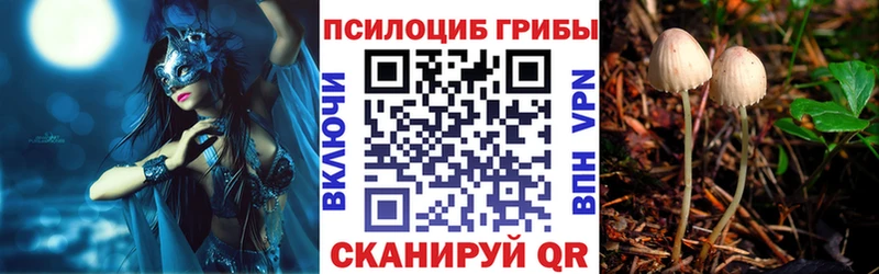 Псилоцибиновые грибы Psilocybe  Приморск 